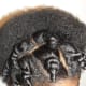 Large twists that create big wavy hair.