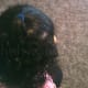 the-best-homemade-hair-detangler-spray