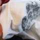 how-to-soften-a-new-t-shirt