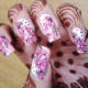 Full Nail Water Slide Decal Nail Art