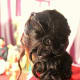 Low hair bun with clipped curls.