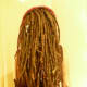 Back-Comb
