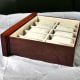 review-of-the-tech-swiss-tsaa31-577bur-watch-display-case