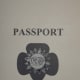 A simple passport, printed on 8x5 x 11 plain paper, folded in half. Inside, a grid for passport stamps.