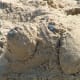 free-fun-at-the-beach-building-sand-castles-and-sand-sculptures