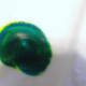 Blue+Yellow=Green