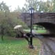 Central Park in NYC