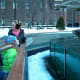 Central Park Zoo in NYC