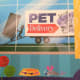 The new pet arrives with a surprise