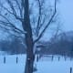 Even on the darkest, coldest, days of winter, my bird feeder is a hopping place.