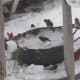 Feed the birds to liven up your winter.