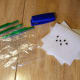 You will need ziploc bags, paper towels, a stapler, beans, and water.