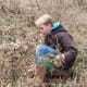 Look for interesting plant material.