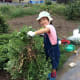 chores-for-money-my-daughter-started-a-little-too-early