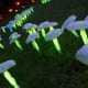 glowing mushrooms