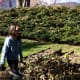 Yard work can be fun when you know you get to jump in the pile of leaves you're creating!