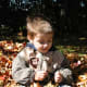 Admiring the colourful autumn leaves.