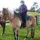 Autumn is a great time of year to go horseback riding.