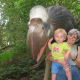 Grandma and a dinosaur