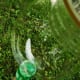 the-best-homemade-bubble-recipe
