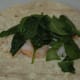 Assembling enchiladas