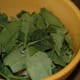 Frozen leaves of spinach thawing