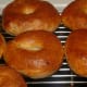 Cool bagels completely on a wire rack. You can see how the dough smoothed out some during the cooking process.