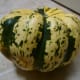 Carnival Squash