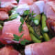 Wrapped chicken pieces on top of the layered thyme and vegetables.