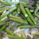 Vegetables layered in the casserole dish.