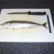 Preparing to fillet a mackerel