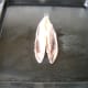 Herring is grilled with a little butter