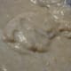 The muffin batter after gentle mixing.