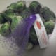 1 lb raw brussel sprouts