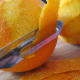 Peeling the oranges, avoiding the white pith.