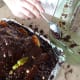 Use left over cake or crumbled cookies to fill in "dirt" over the aluminum foil.