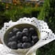 Fill with drained blueberries and let each child take one to nibble on.