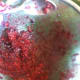 Press the berries against the mesh until they become pulpy. (Notice how many seeds at there and that's just from 12 berries!)