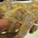 Skewer shrimp from tail to top.