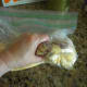 Seal the bag, pushing out excess air, and put the cheese mixture bag into a second zippered bag. Squish powdered sugar and cocoa mixture to combine with cheese mixture.