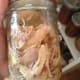 You can use canned chicken for this recipe.