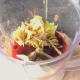 Tomato and celery puree ingredients added to blender