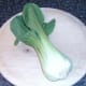 Pak choi (Chinese cabbage)