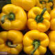 Yellow Bell Peppers