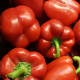 Red Bell Peppers