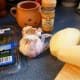 Just a few ingredients needed to make this recipe