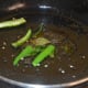 the tempering
