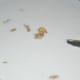 Pour the rice mix into a non-stick deep pan. Add jaggery powder. Turn on the heat. Stir-cook on very low.
