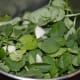 Put the washed fenugreek leaves, garlic cloves and salt in a mixer grinder and crush them.