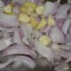 Step three: Make a smooth puree of onions, ginger, and garlic, adding very little water